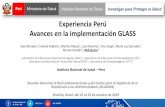 Experiencia Perú Avances en la implementación GLASS