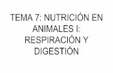 TEMA 7: NUTRICIÓN EN ANIMALES I: RESPIRACIÓN Y DIGESTIÓN