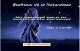 Espíritus de la Naturaleza - Flavia Carrion