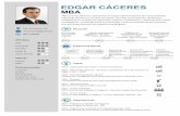 CV EDGAR CACERES1 - uaustral.edu.pe