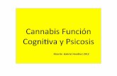 Cannabis Función Cogni va y Psicosis - FundoPsi