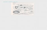 Anatomía: Glándula Páncreas