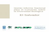 El Salvador - Ministerio de Medio Ambiente y Recursos ...