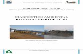 GOBIERNO REGIONAL DE PUNO - SINIA | Sistema Nacional de ...