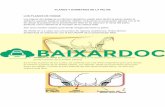 Planos y Diametros de Pelvis - BAIXARDOC