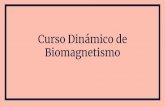 Curso Dinámico de Biomagnetismo
