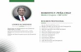 ROBERTO F. PEÑA CRUZ - Gobierno Regional de Lima