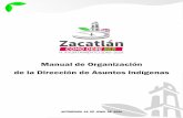 Manual de Organización de la Dirección de Asuntos Indígenas