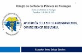 1 Colegio de Contadores Públicos de Nicaragua