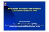 Evaluación prenatal de tiroides fetal: Aproximación al ...
