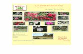 Monte Rojo- Catálogo 2017 - Asociación Uruguaya de la Rosa