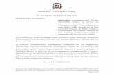 República Dominicana TRIBUNAL CONSTITUCIONAL EN NOMBRE DE …