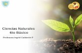 Ciencias Naturales 6to Básico - escuelablascanas.cl