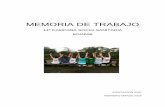 MEMORIA DE TRABAJO - AISE