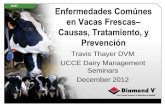 Enfermedades Comúnes en Vacas Frescas Causas, Tratamiento ...