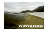 Ximonde - Arquia