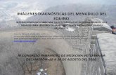 IMÁGENES DIAGNÓSTICAS DEL MENUDILLO DEL EQUINO