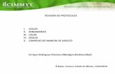 REVISIóN DE PROTOCOLOS I. AZULES II. RENDIMIENTO III ...