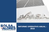 INFORME OPERATIVO ANUAL - 2015 - BVPASA