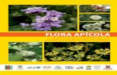 Flora apícola - Humboldt