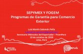 SEPYMEX Y FOGEM Programas de ... - Gobierno del Perú