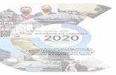 Plantilla informe de labores Año 2020)