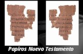 Papiros Nuevo Testamento