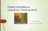 Fuerzas arquetípicas colectivas y Flores de Bach