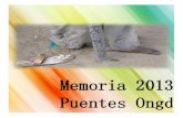 MEMORIA PUENTES ONGD - guanelianos.org