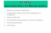 TEMA 6 Introducción a la Bioenergética - UV