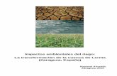Impactos ambientales del riego: La transformación de la ...