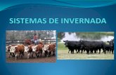 SISTEMAS DE INVERNADA - FCA|UDE