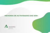 MEMORIA DE ACTIVIDADES SAE 2019