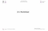 2.5. Morbilidad - SSM