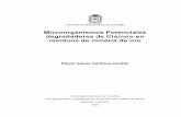 Microorganismos Potenciales degradadores de Cianuro en ...