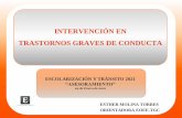 INTERVENCIÓN EN TRASTORNOS GRAVES DE CONDUCTA