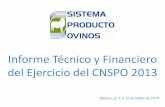 INFORME TÉCNICO Y FINANCIERO - spo.uno.org.mx