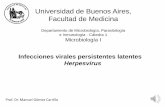 Infecciones virales persistentes latentes Herpesvirus
