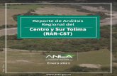 Reporte de Análisis Regional del Centro y Sur Tolima (RAR …
