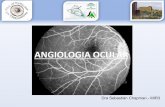 048 Angiologia ocular - LSC