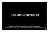 LAS GIMNOSPERMAS - Weebly
