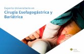 Experto Universitario en Cirugía Esofagogástrica y Bariátrica
