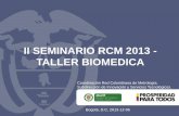 II SEMINARIO RCM 2013 - TALLER BIOMEDICA