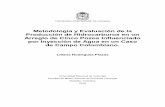 Metodología y Evaluación de la Producción de Hidrocarburos ...