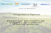 Proyectos forestales de Captura de Carbono CAR-VCS/Verra