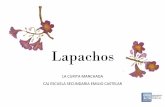 Lapachos - repositorio.invelec-conicet.gob.ar