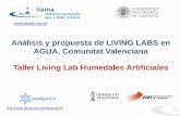 Análisis y propuesta de LIVING LABS en AGUA, Comunitat ...