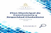 Plan Municipal de Convivencia y Seguridad Ciudadana
