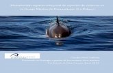 Distribución espacio-temporal de especies de cetáceos en ...