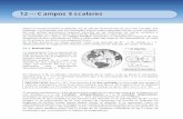 12 Campos Escalares - fbioyf.unr.edu.ar